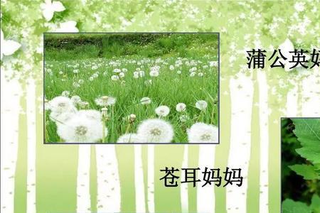植物妈妈是什么类型的文章