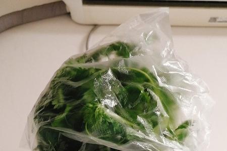 香菜冻冰箱的方法