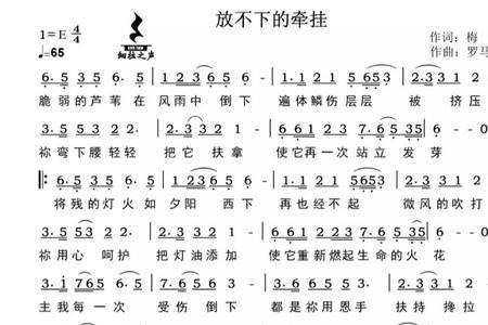 放不下想又怕歌词谁写的