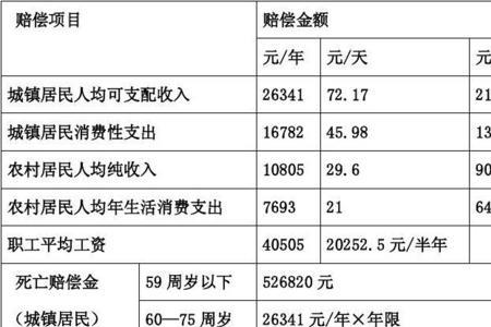 60岁以上人身损害赔偿标准