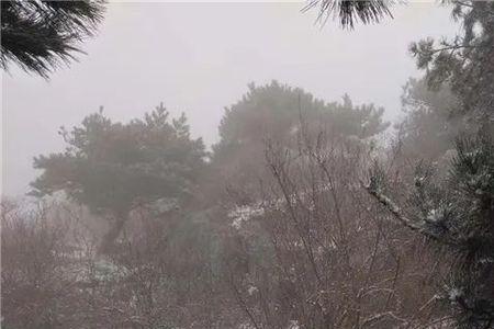 2020年山东啥时候下雪