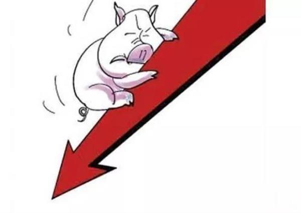 2020中秋猪价会涨是跌