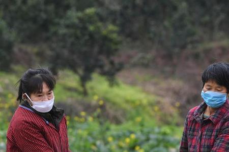 重庆邮政保供蔬菜下单方法