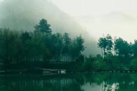 山水间的家停播了吗