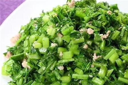 雪里蕻不焯水可以炒吗