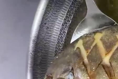 海鲳鳊鱼的做法