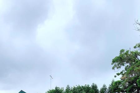 大运公园可以带宠物吗
