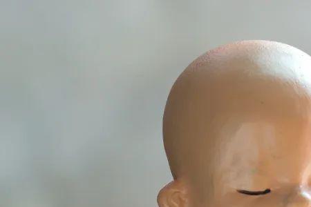 敞开心扉不仅能什么,也会什么