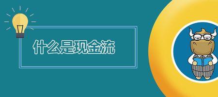 追求利润和现金流是什么意思