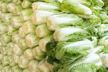 怎样保存大白菜