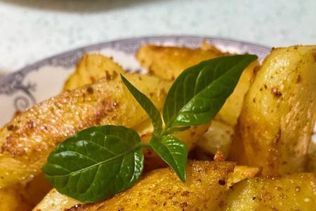 速冻菜角可以烤吗