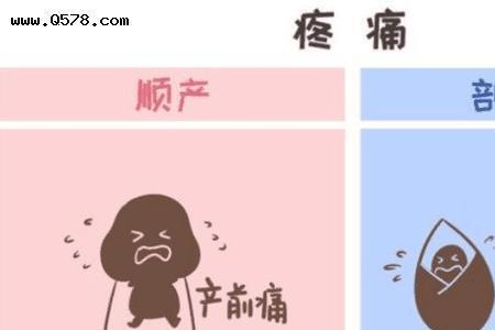 三次剖腹产文案