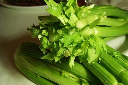 芹菜长苔怎么处理