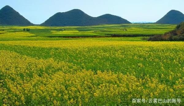 教师解甲归田的诗句