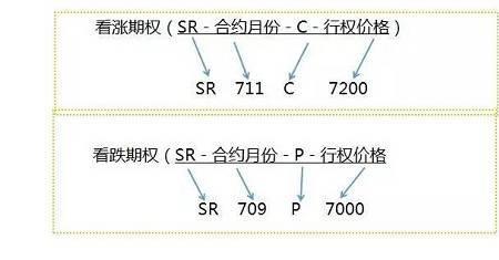 期权p和c的区别