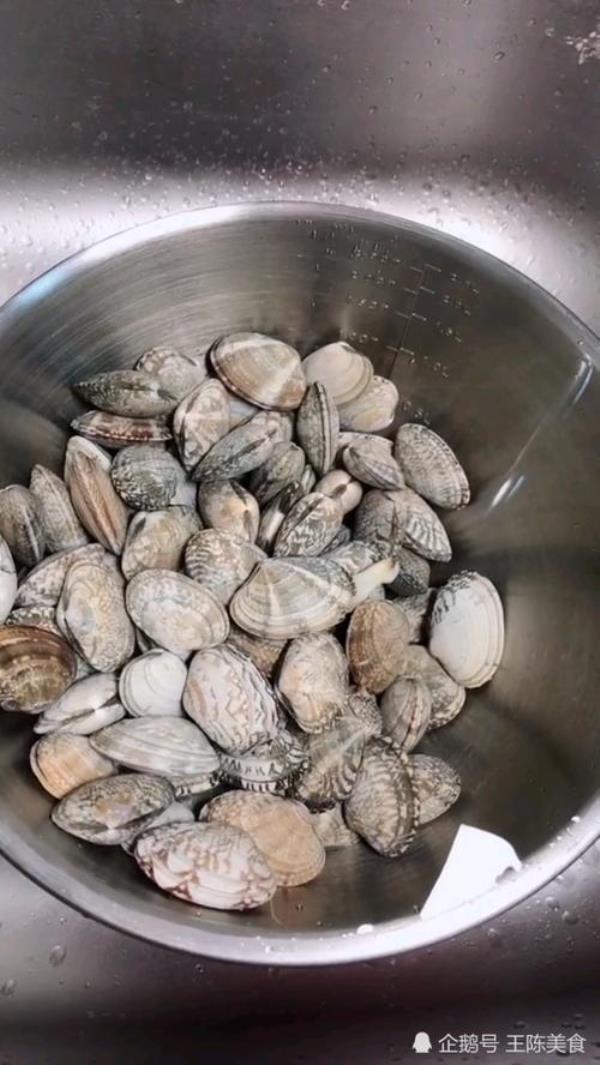 花蛤是吃什么长大的