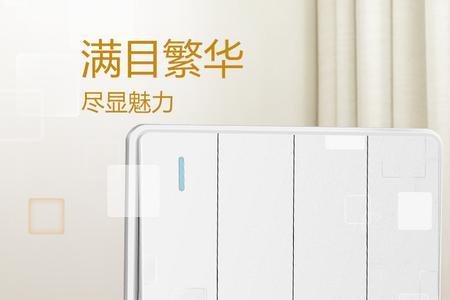 雷士开关插座和公牛哪个好