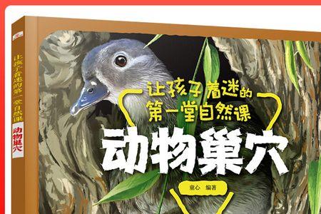 自然客体是什么