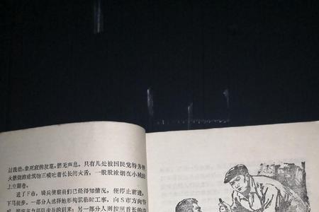 十大反特长篇小说