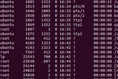 Rootkit 的目的是什么