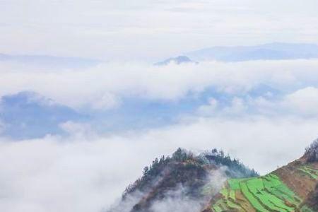 怎样判断阳坡，阴坡