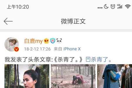 招摇开机时间杀青时间