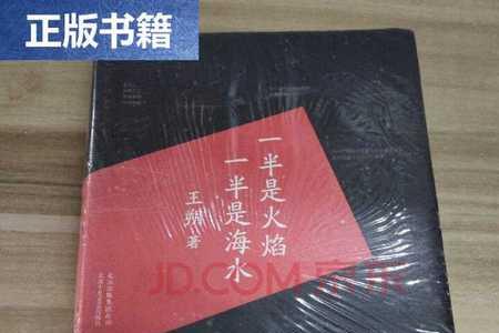 一半是火焰王朔原版
