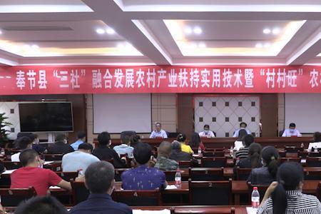 重庆供销社考试报名条件
