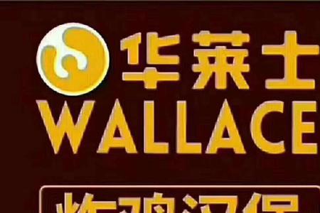 华莱士招聘储备干部可靠不