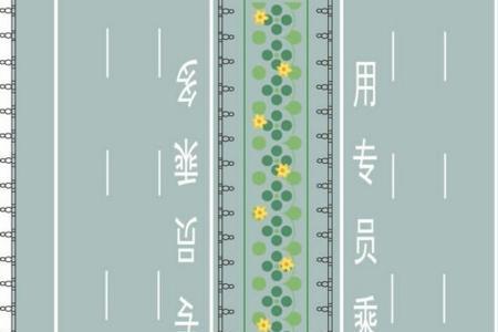 科目一52是什么意思