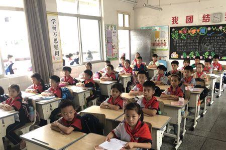 桐庐上小学需要什么条件