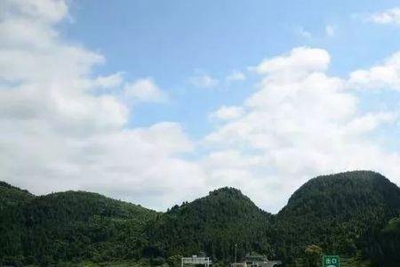 大绥高速全长