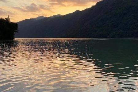 西湖钓鱼证办理流程