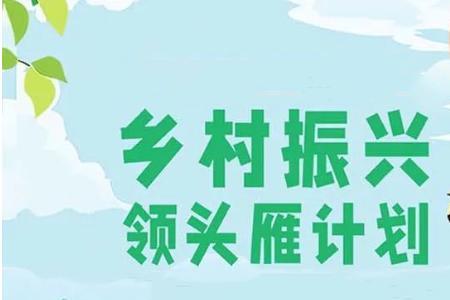 乡村振兴协理员怎么报名
