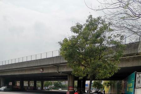 佛山禅城哪里适合骑山地单车