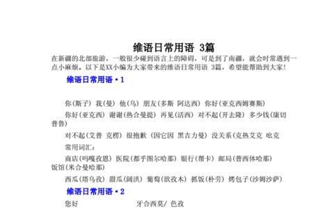迪丽努尔在维语的意思