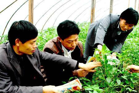 农技特岗人员有前途吗