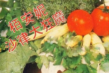 柏安妮全部电影
