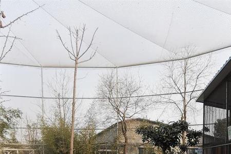 动物隔离场建设规定