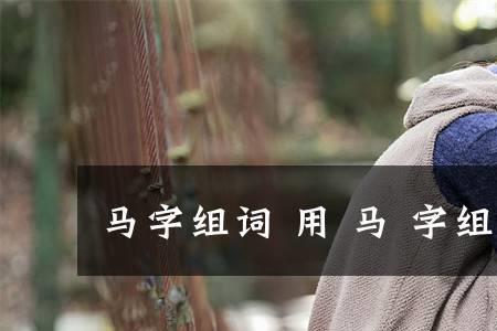 给马组词