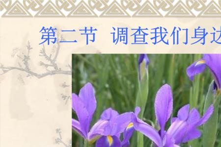 生物调查的六个步骤
