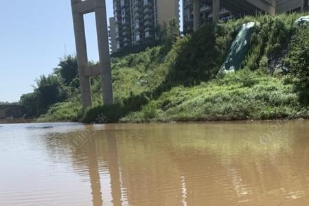 东澜岸哪里可以钓鱼