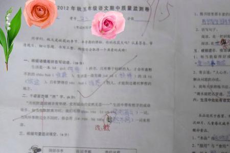 小学几年级可以考试