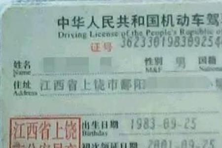 驾驶证科五考什么