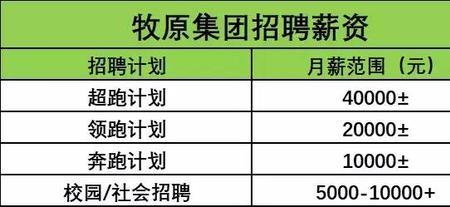 12岗4薪是什么意思