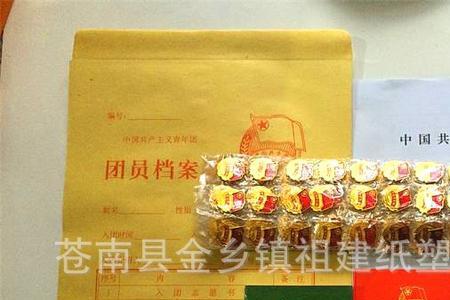 入团档案里面放什么