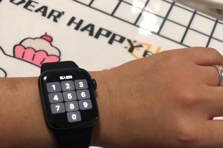 iwatchs5可以键盘输入吗