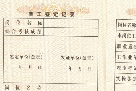 中级技工能出国吗