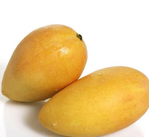 芒果视频进入入口