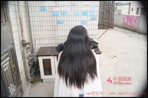五十厘米头发多长